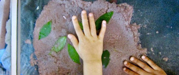 Top five tips that combine health & sustainability for your child