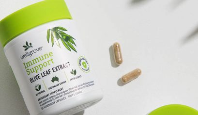 What exactly is Olive Leaf Extract