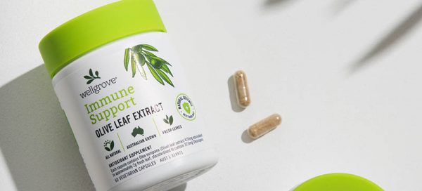 What exactly is Olive Leaf Extract