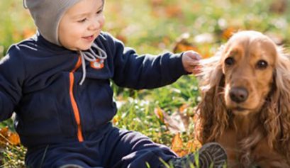 guide-to-getting-a-dog-eastern-suburbs-mums