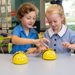 McAuley Catholic Primary School Rose Bay