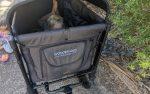 Pragon – Pram Wagons