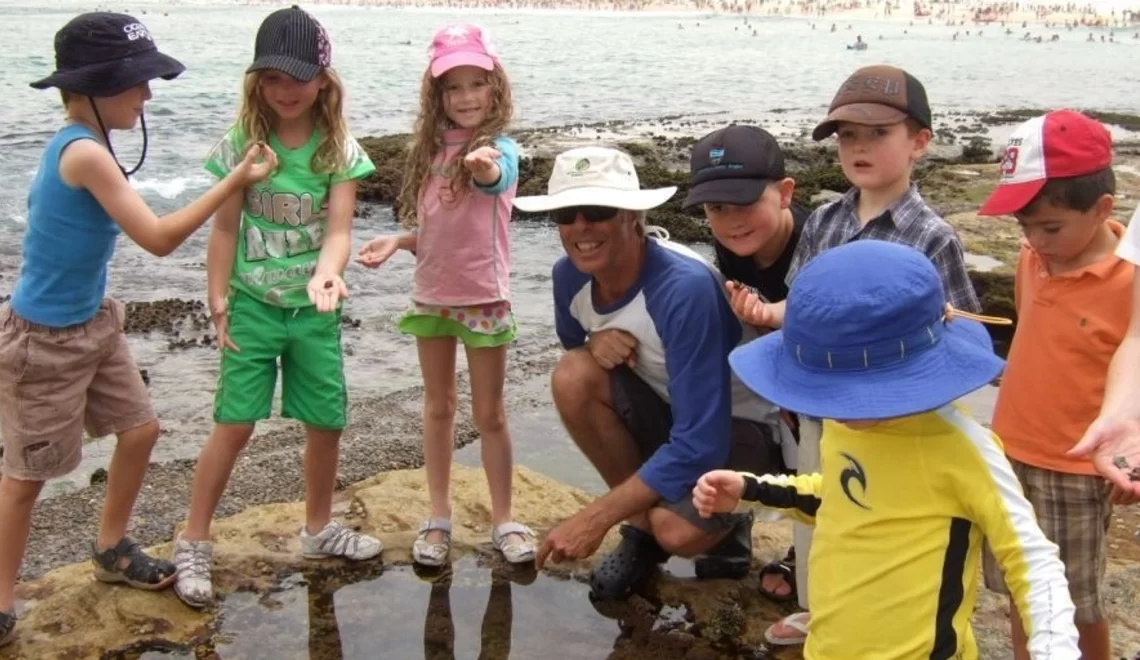 Discover Bondi’s Hidden Marine Life on a Rockpool Discovery Tour