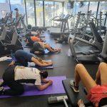Edge Fit Double Bay