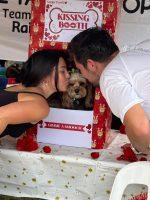 Santa Paws Event Volunteer