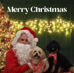 Santa Paws Event Volunteer