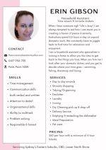The Household Assistant The Household Assistant