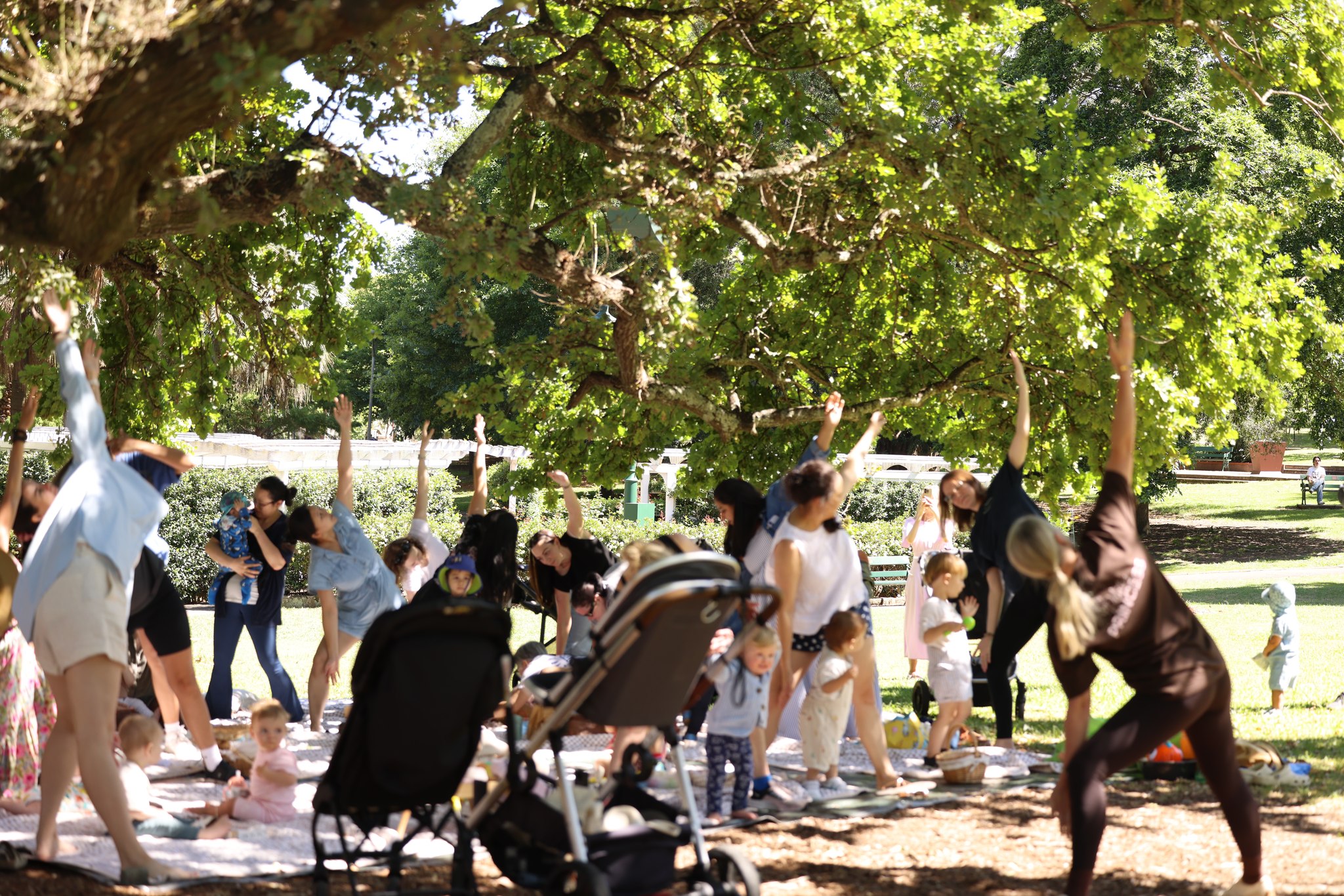 Mums, Villagehood is hosting their final pop up picnic activations for 2025 at Rose Bay and Watsons Bay