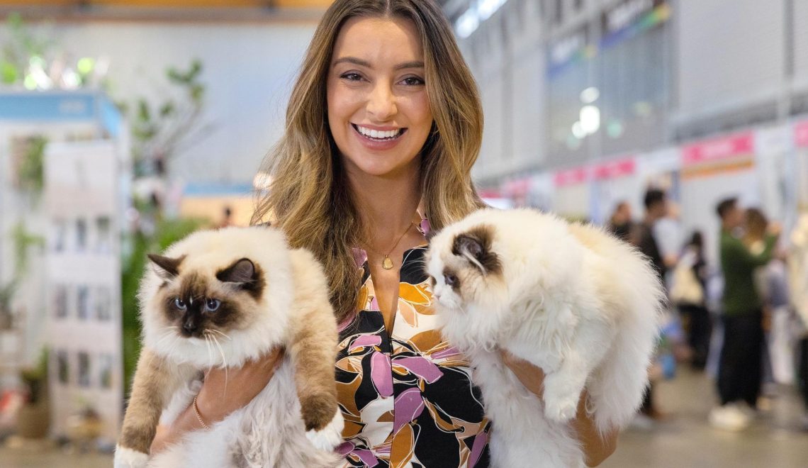 Sydney Cat Lovers Festival Returns This August for a Purr-fect Family Day Out