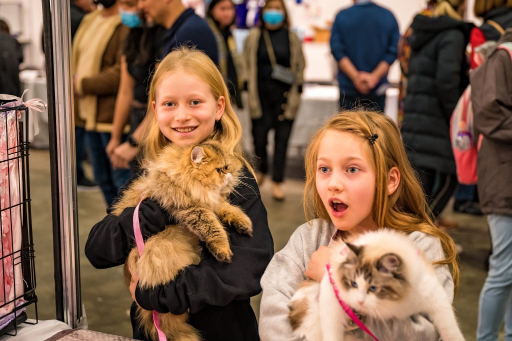 Sydney Cat Lovers Festival Returns This August for a Purr-fect Family Day Out