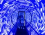 Museum of Illusions Sydney