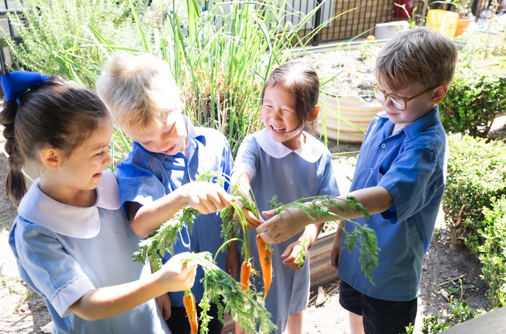 Free Playgroup and School Readiness Program at St Margaret Mary’s Randwick North